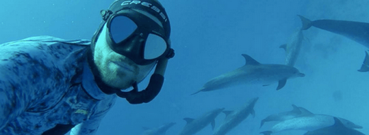 Подводная охота